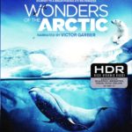 4K UHD/3D Blu-ray Review: WONDERS OF THE ARCTIC