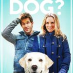 DVD Review: WHO GETS THE DOG?