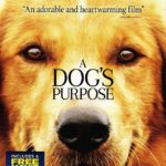 Blu-ray Review: A DOG’S PURPOSE