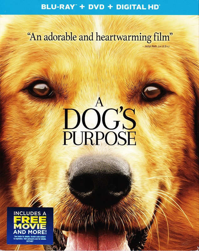 Blu ray Review A DOG S PURPOSE NoReruns