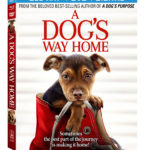 A DOG’S WAY HOME  Arrives on Digital March 26, and on Blu-ray & DVD April 9