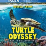 4K Ultra HD/Blu-ray Review: TURTLE ODYSSEY: BUNJI’S BIG ADVENTURE