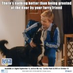 CATS & DOGS 3: PAWS UNITE! Arrives on Digital September 13 and on Blu-ray & DVD October 13