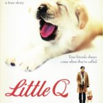 Blu-ray Review: LITTLE Q