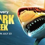 Shark Week 2023 - Courtesy of Discovery-RS