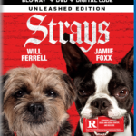 STRAYS Arrives on Digital & Streams on Peacock October 6, and on Blu-ray & DVD October 10