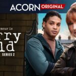 Acorn TV Releases Trailer for Second Season of HARRY WILD, Starring Jane Seymour, Premiering October 9