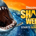 Discovery’s SHARK WEEK Returns Sunday, July 20 at 8PM ET/PT With Action-Packed, Must-See Nightly Programming
