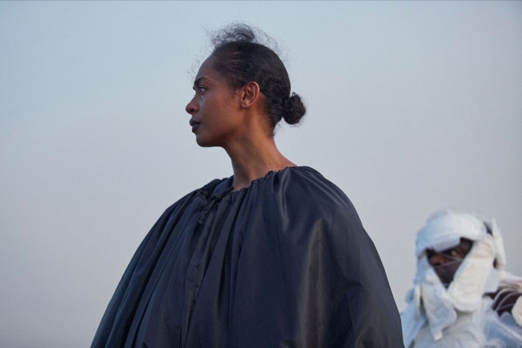 ON BECOMING A GUINEA FOWL