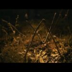 SHELBYOAKS_Still_02_CourtesyofNEON