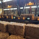 IMG_2943