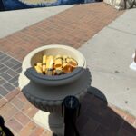 IMG_3757