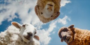(L to R) Regina Hall as the voice of Cloud, Chris O'Dowd as the voice of Mopple and Julia-Louis Dreyfus as the voice of Lily in THE SHEEP DETECTIVES, from Amazon MGM Studios. (L to R) Regina Hall as the voice of Cloud, Chris O'Dowd as the voice of Mopple and Julia-Louis Dreyfus as the voice of Lily in THE SHEEP DETECTIVES, from Amazon MGM Studios.
Photo credit: Courtesy of Amazon MGM Studios
© 2026 Amazon Content Services LLC. All Rights Reserved.