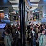Colony_Still_01