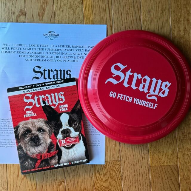 STRAYS releases on digital/streams on Peacock tomorrow 10/6, and is available on disc 10/10 #StraysMovie